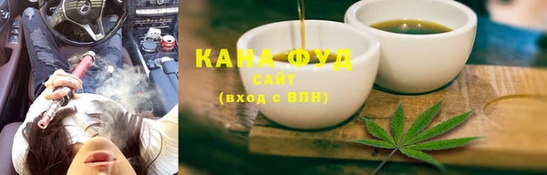 мдпв Осташков