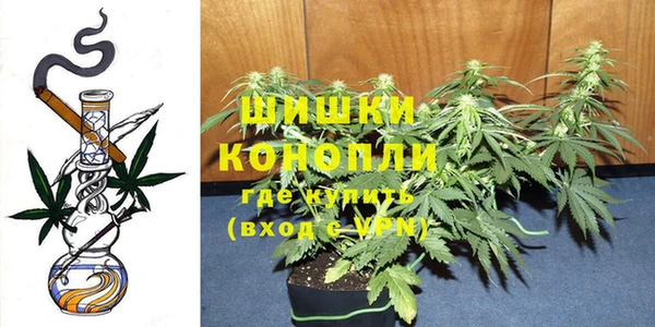 мдпв Осташков