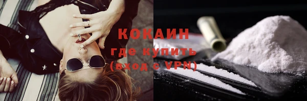мдпв Осташков