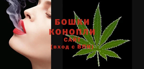 мдпв Осташков