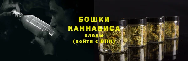 мдпв Осташков