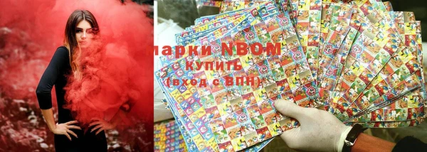 мдпв Осташков