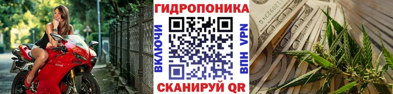наркошоп  Котельниково  Шишки марихуана SATIVA & INDICA 